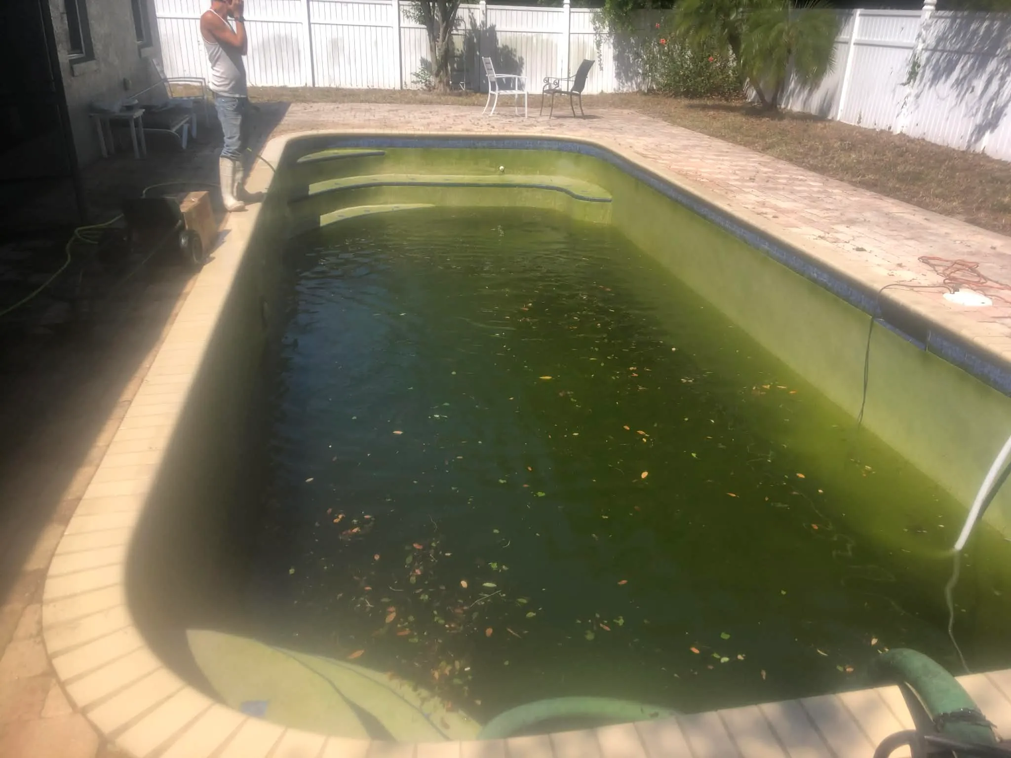 Pool Cleaning & Water Restoration - Before