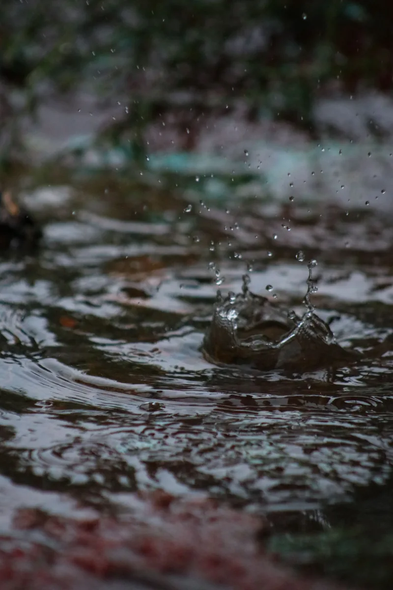 Hurricane Pool Prep in Central Florida: What to Do Before and After Heavy Rain
