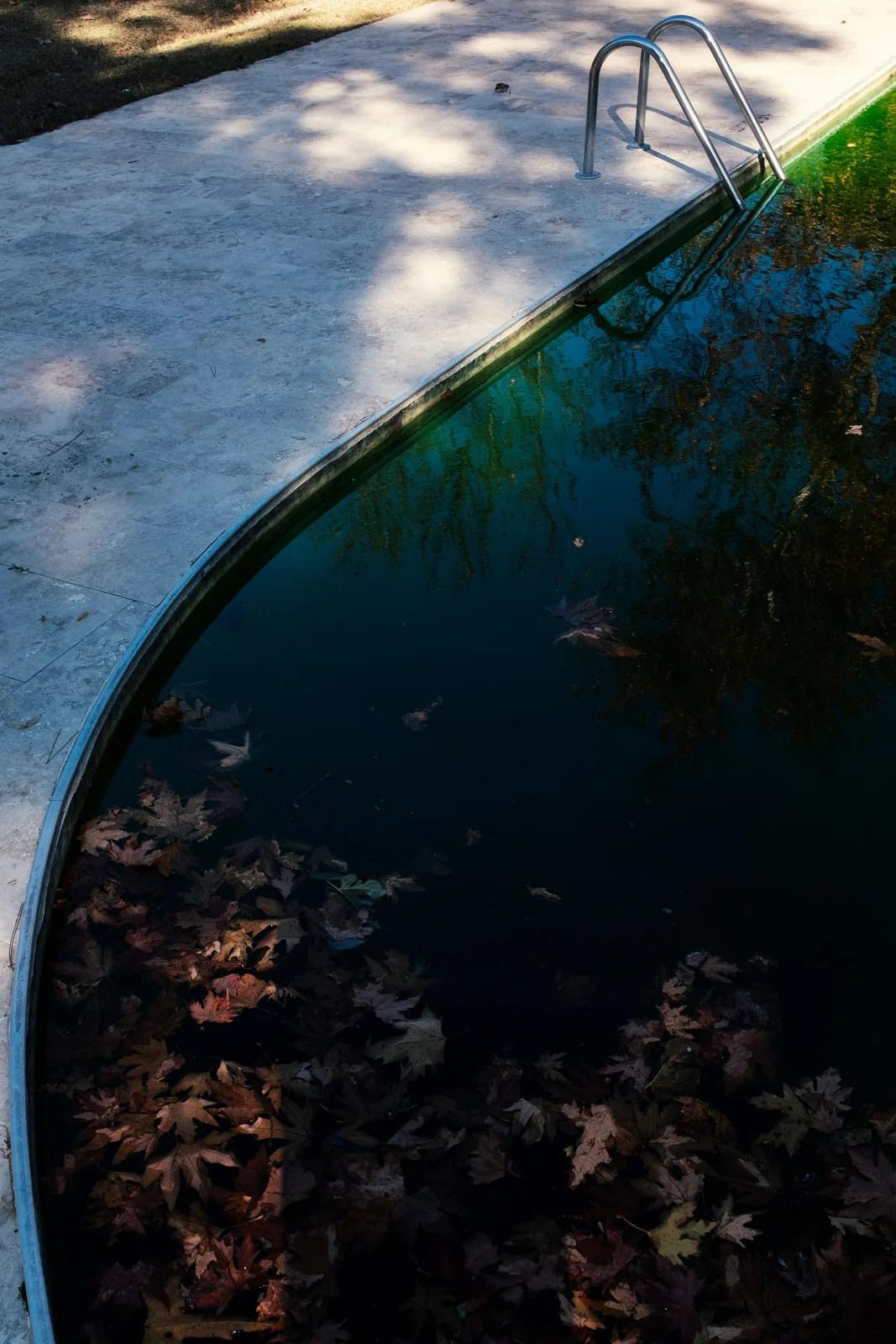 Pool Stains in Central Florida: Organic, Metal, Scale, or Surface Damage?